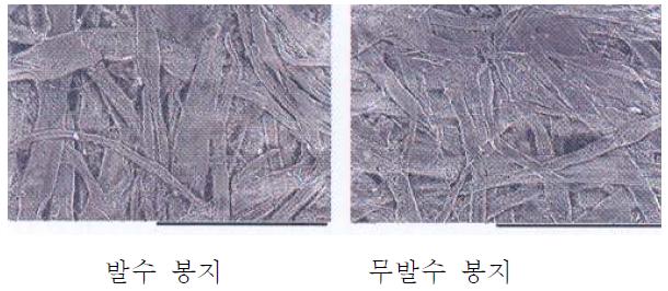 봉지 표면의 발수 처리와 무발수 봉지의 비교