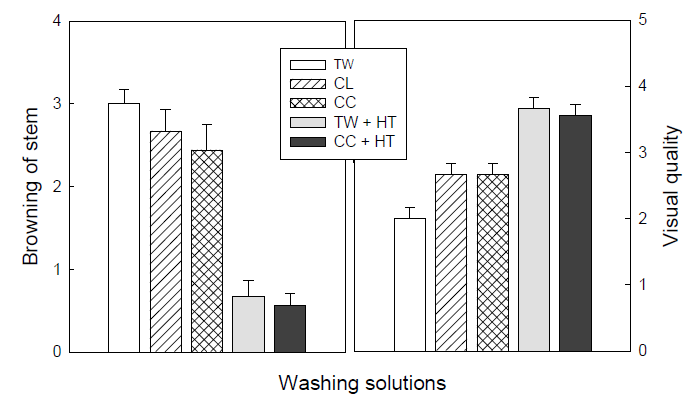 Browning of the stem and visual quality of fresh-cut broccoli samples stored for 9 days at 5℃.