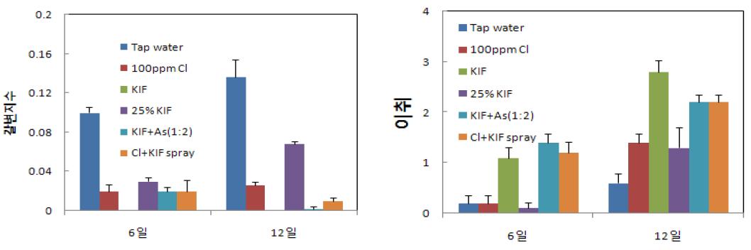 KIF 처리에 따른 신선편이 결구상추 저장 중 갈변 및 이취