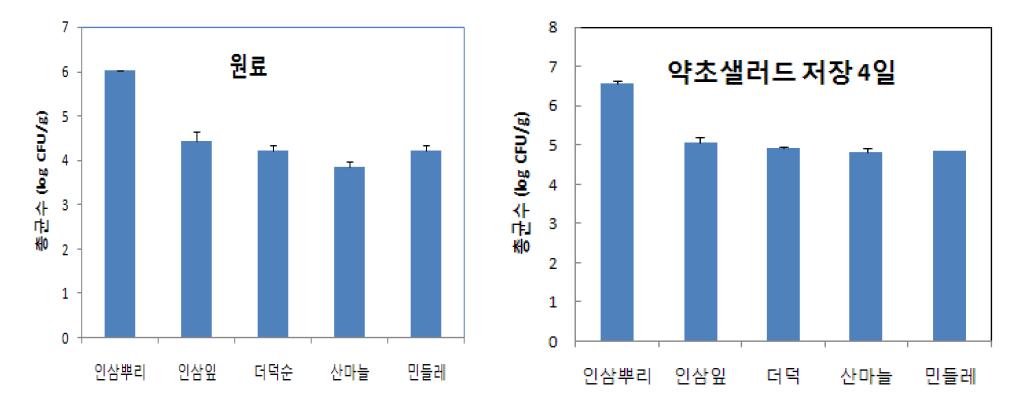 약초 원료(좌) 및 샐러드(우) 저장 4일 후 총균수