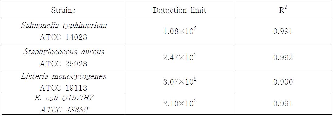 Real-time PCR 정리