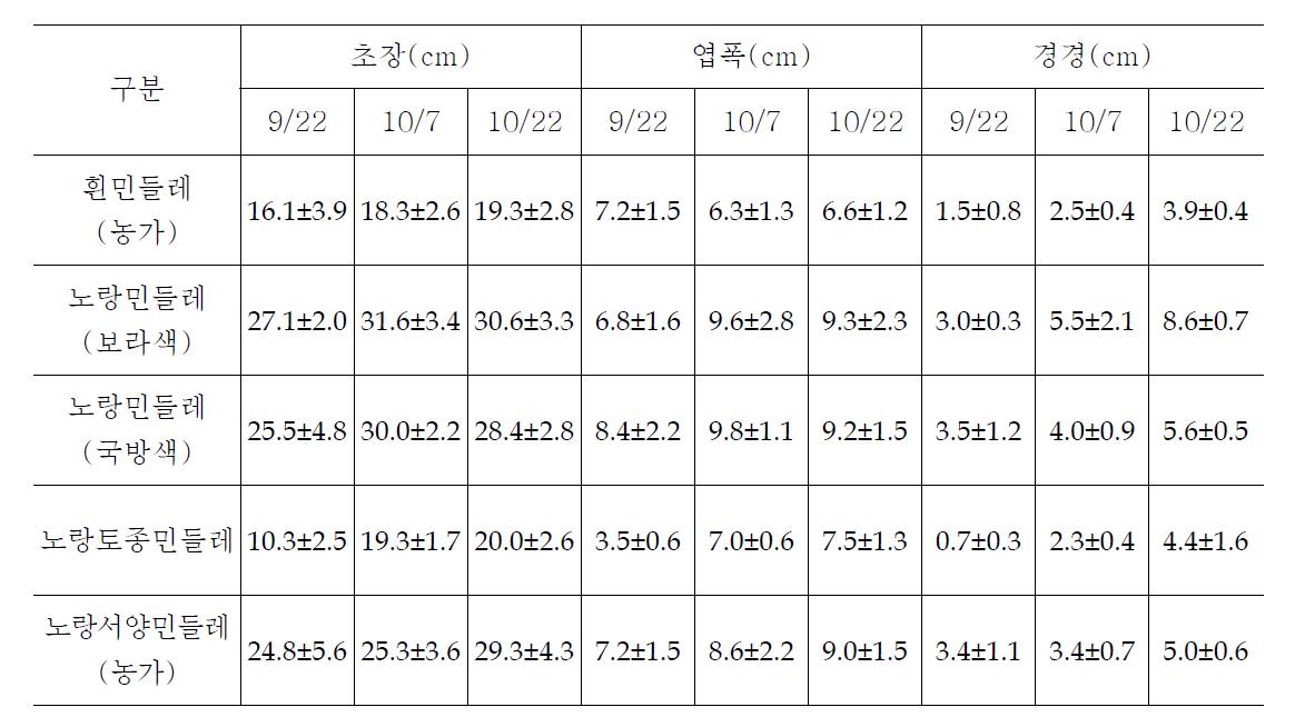 민들레 우량품종을 위한 기초조사(2008)