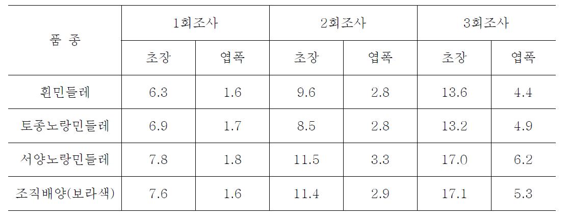 민들레 우량종에 대한 생육조사(2009)