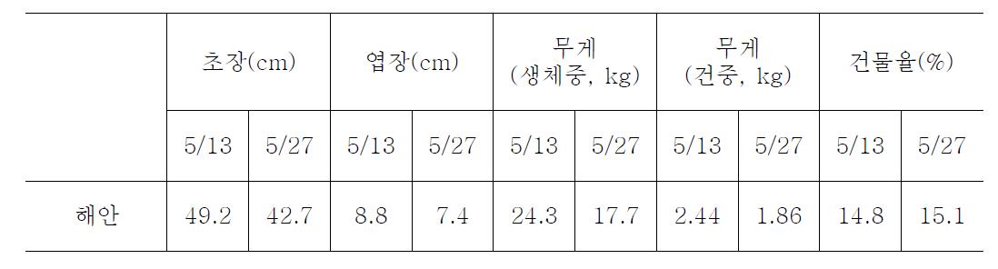 민들레 정식시기별 봄재배 생육상황