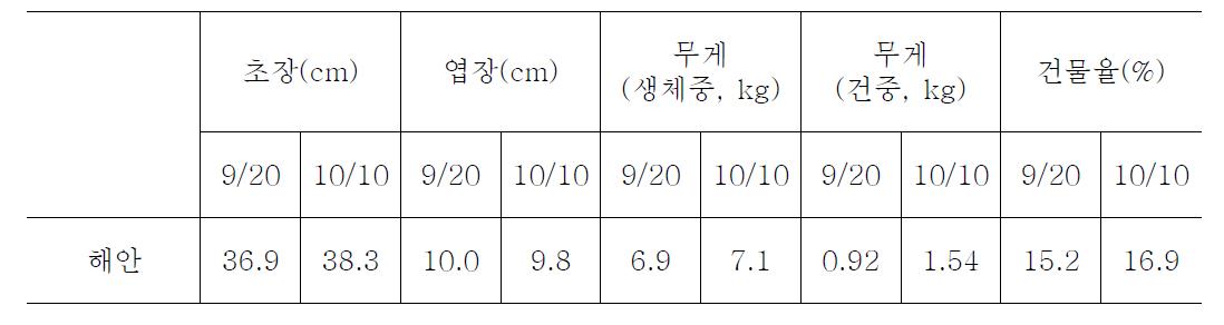 민들레 정식시기별 가을재배 생육상황