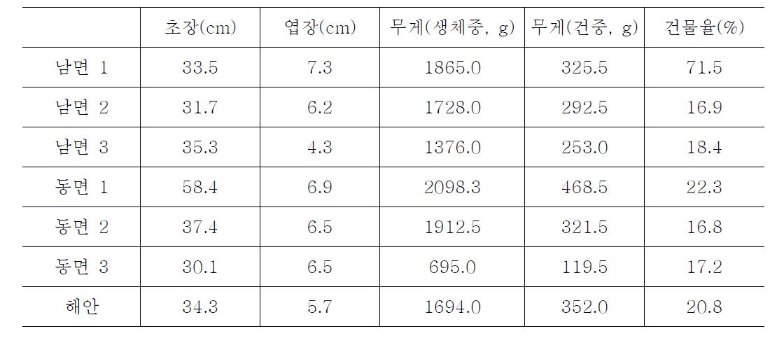 민들레 재배지별 생육조사