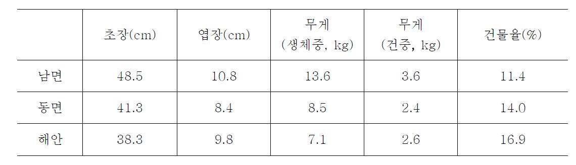 우량종(조직배양 : 보라)민들레 재배지별 생육조사