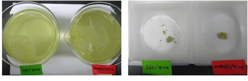 증류수와 해양심층수에 녹차향 1ml 첨가한 발포제를 물에 넣었을 때 비교 사진.