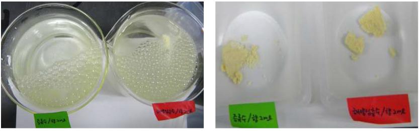 증류수와 해양심층수에 녹차향 2ml 첨가한 발포제를 물에 넣었을 때 비교 사진.