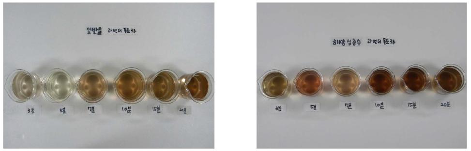 라벤더 꽃잎 3g을 3분, 5분, 7분, 10분, 15분, 20분 동안 우려낸 사진.