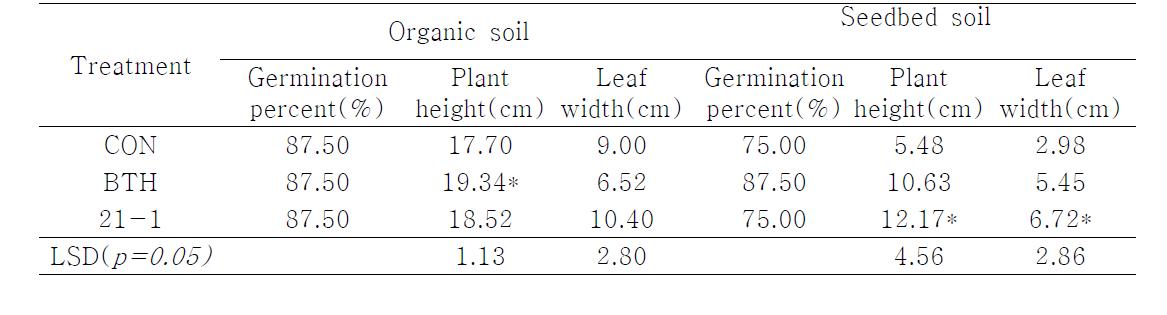 Effect on cucumber plant growth to organic soil and conventional seedbed soil with 21-1 strain mixture