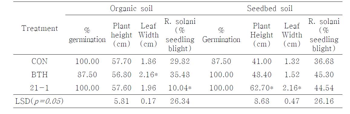 Effect on corn plant growth to organic soil and convensional seedbed soil with 21-1 strain mixture