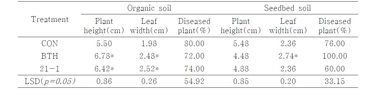 Tobacco plant growth promotion by treatment of 21-1 in organic soil