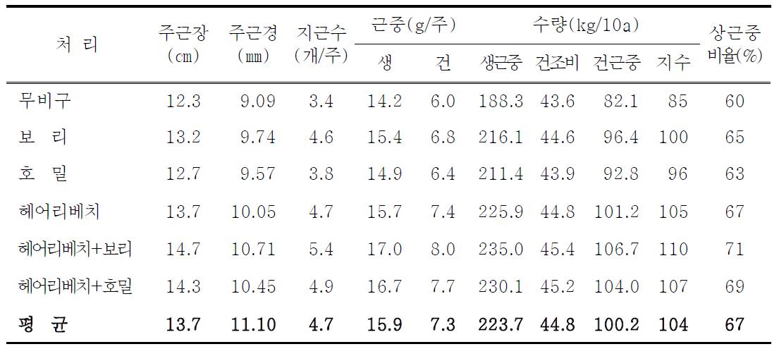 녹비작물 종류별 시용에 따른 황금의 수량성