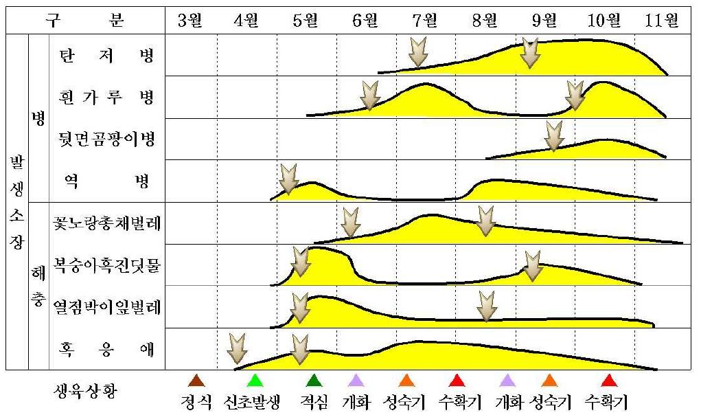 구기자 주요 병해충 발생 소장에 따른 방제적기