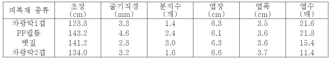 수체 생육 특성(1년차)