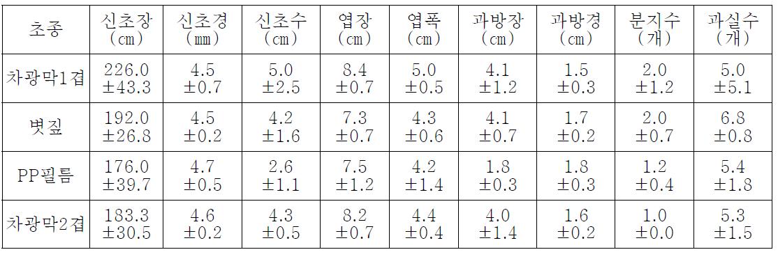 수체 생육 특성(2년차)