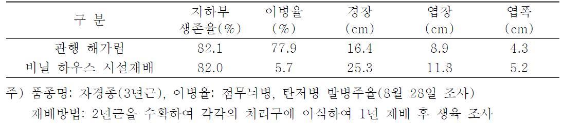 비가림 하우스 시설에서 유기재배 3년생 인삼의 생육특성 비교