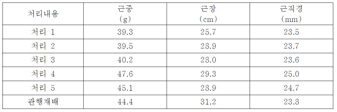 친환경자재 처리에 따른 지하부 생육(4년근)