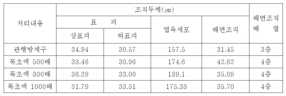 목초액 처리에 따른 엽육조직 변화(3년근)