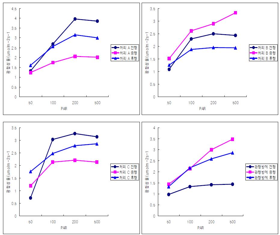 친환경재제 처리에 따른 광합성 변화(3년근)