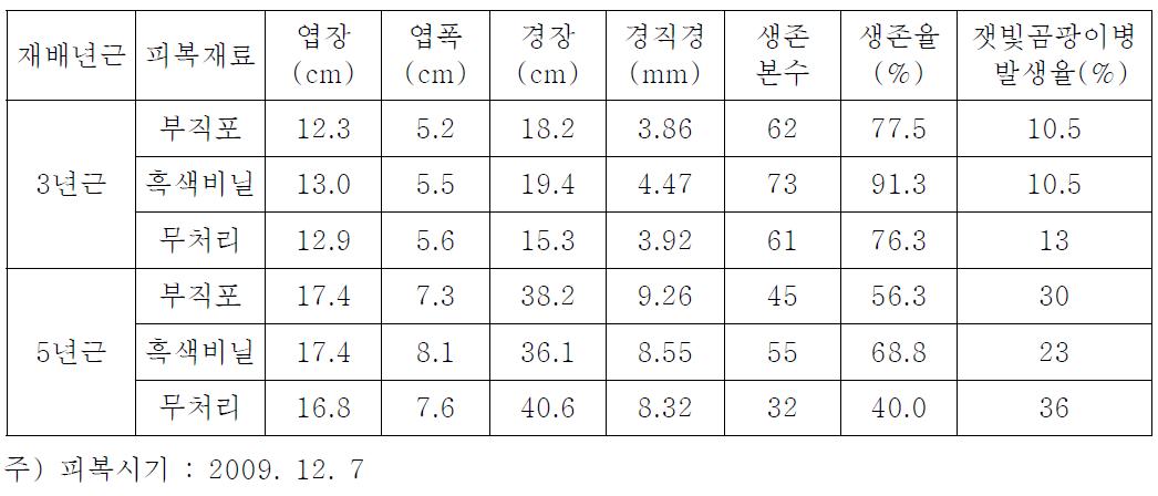 월동기 두둑상면 피복재료별 생육 및 병 발생율