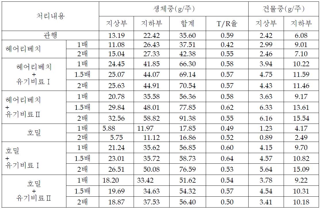 당귀 육묘이식재배시 녹비이용 유기재배시 유기질 비료처리에 따른 생체중 및 건물중