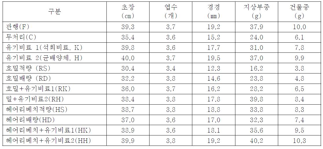 녹비작물 이용 당귀 상자 육묘이식시 지상부 생육특성