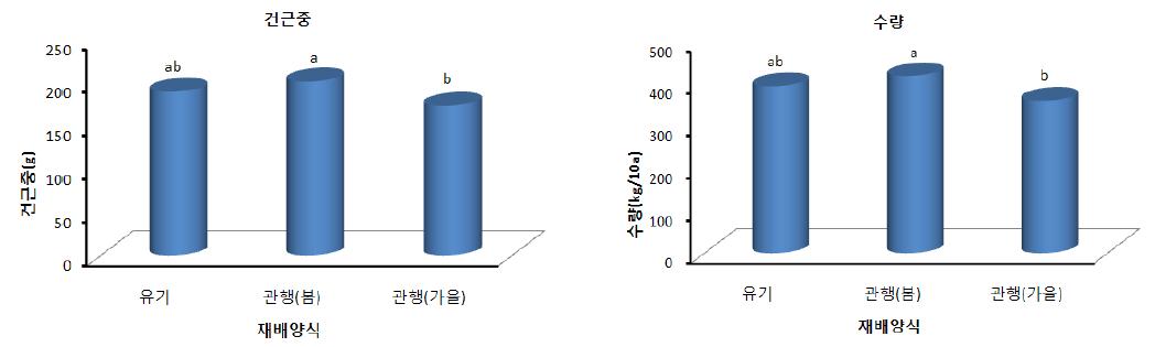 당귀 유기재배시 건근중 및 수량 비교