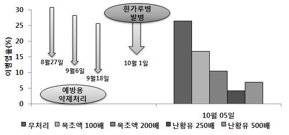 목초액과 난황유 약제의 예방 처리에 따른 황기 흰가루병 이병엽율