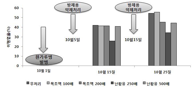 황기 흰가루병 발병 후 목초액과 난황유 약체처리에 따른 이병엽율