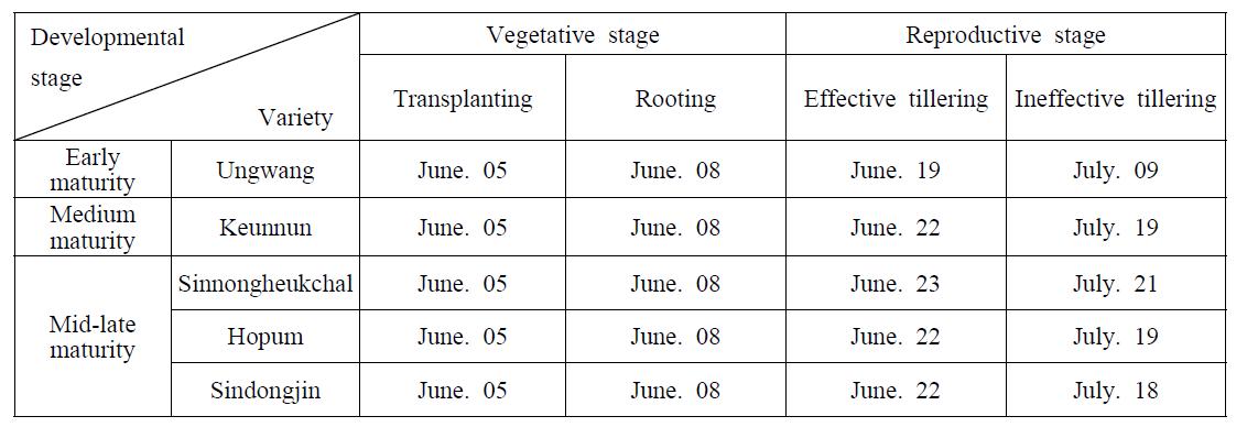 Sampling dates for the four vegetative stages of the five rice varieties.