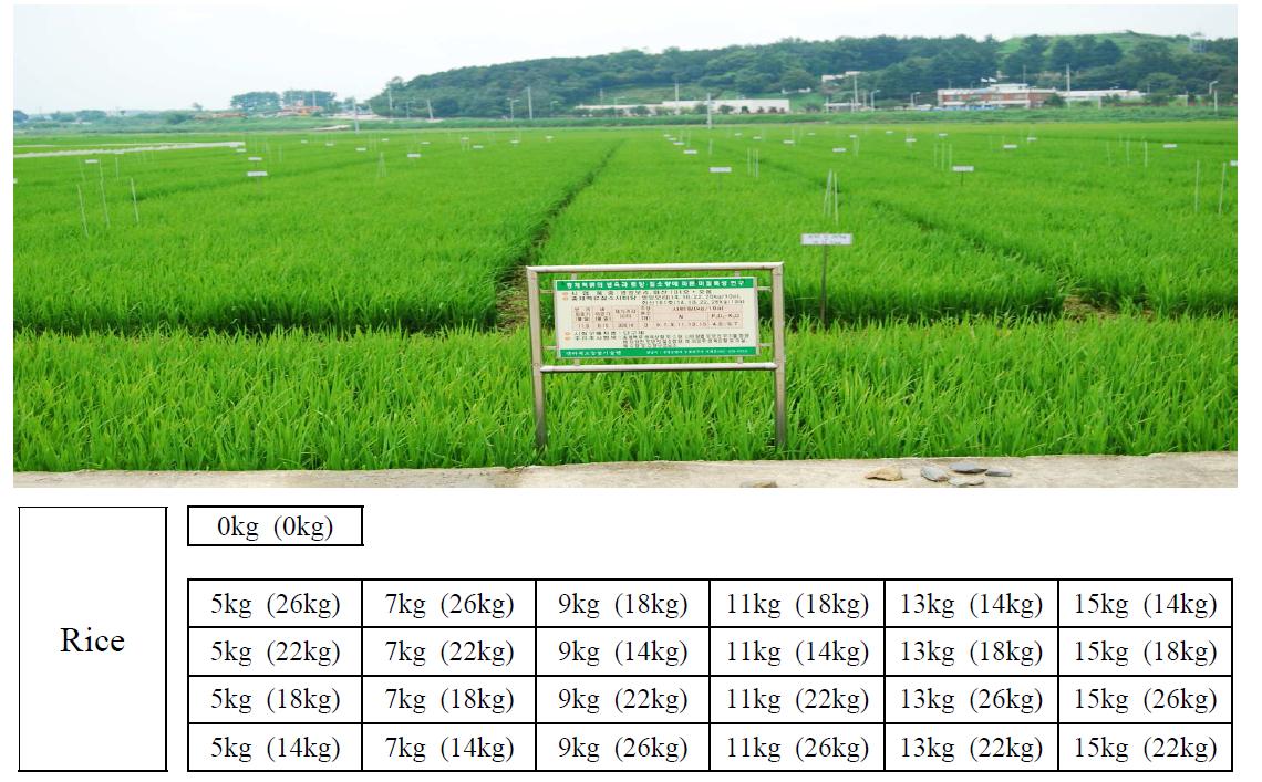 Experimental design and plot deployment. Values in each plot indicate the amount of N used for rice cultivation.
