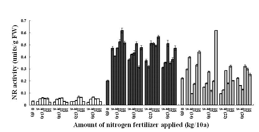 Nitrate reductase (NR) activity in the leaves of rice plants at the three vegetative stages towhich nitrogen fertilizer was applied at various levels in the field where whole crop barley was produced by applying nitrogen fertilizer at various levels in the previous season.