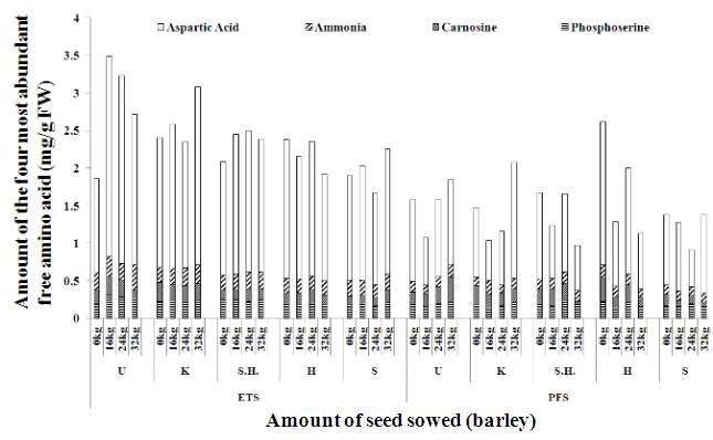 Amount of the four most abundant free amino acid (aspartic acid, ammonia, carnosine andphosphoserine) in rice plants at the vegetative stages of the five varieties grown in the paddy field in which barley was cultivated at different sowing rates in the previous season.