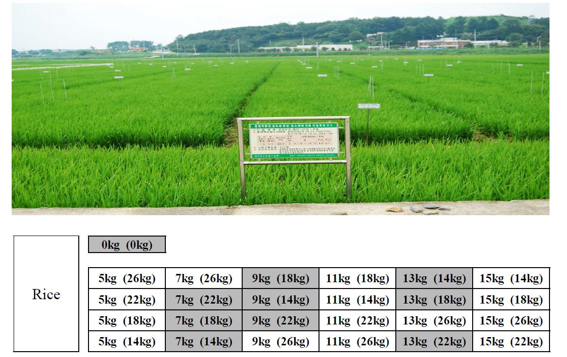 Experimental design and plot deployment. Values in each plot indicate the amount of Nused for rice cultivation. The number in each parenthesis is the amount of N fertilizer applied for barley cultivation.