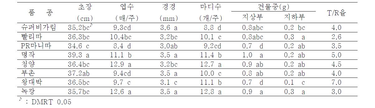 정식시 묘소질