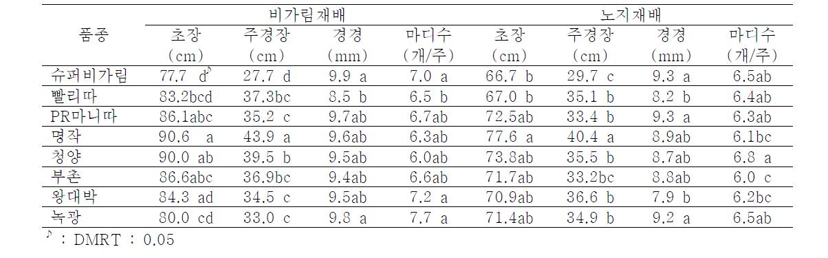 비가림재배와 노지재배의 초기생육(2010. 6. 17)