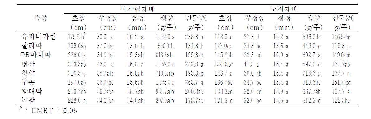 비가림재배와 노지재배의 후기 생육(2010. 9. 9)