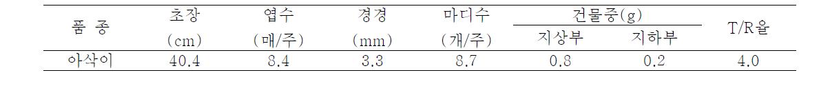 정식시 묘소질