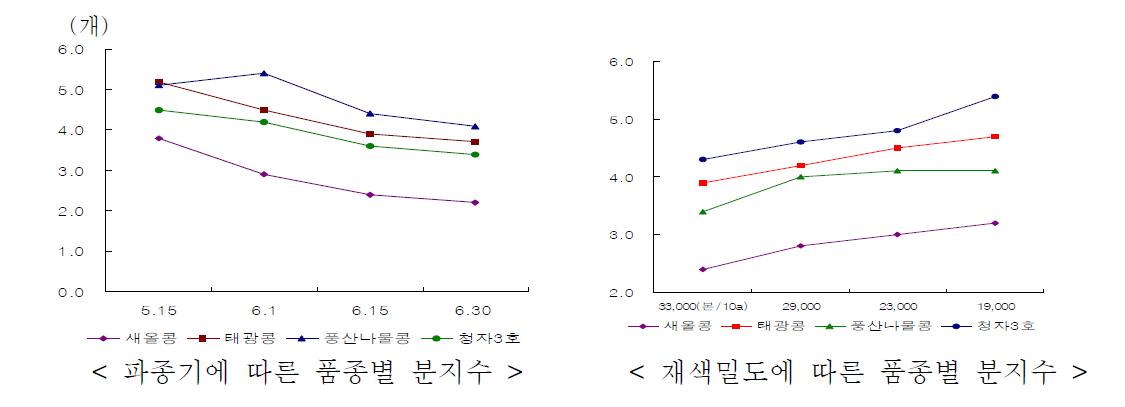 파종기 및 재식밀도에 따른 분지수의 변화