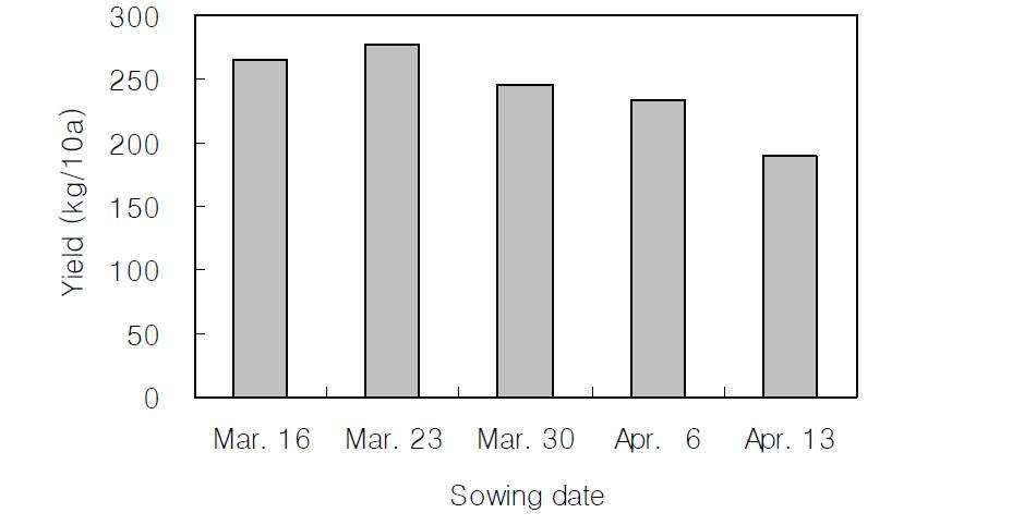 Yield depending on sowing dates of safflower seeds in saline soil.