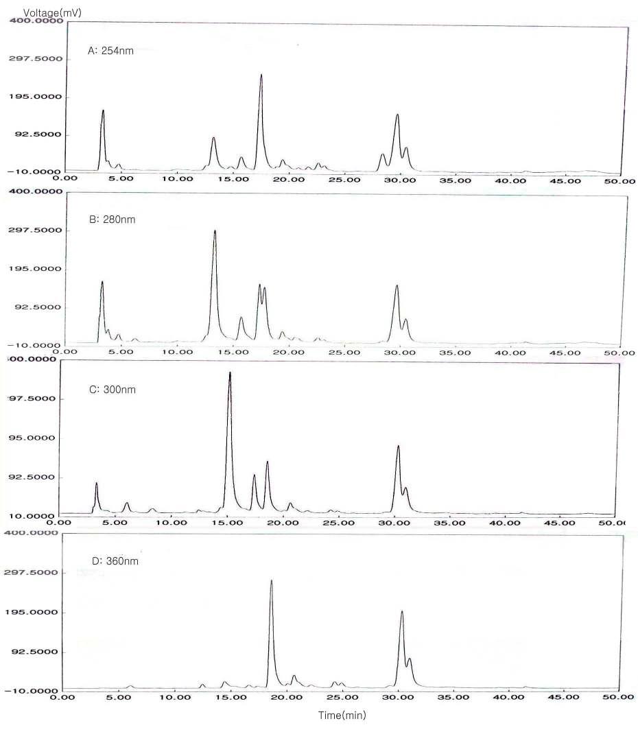 HPLC chromatogram pattern of phenolic compounds detected at four different wavelengths in Eusan Safflower seeds