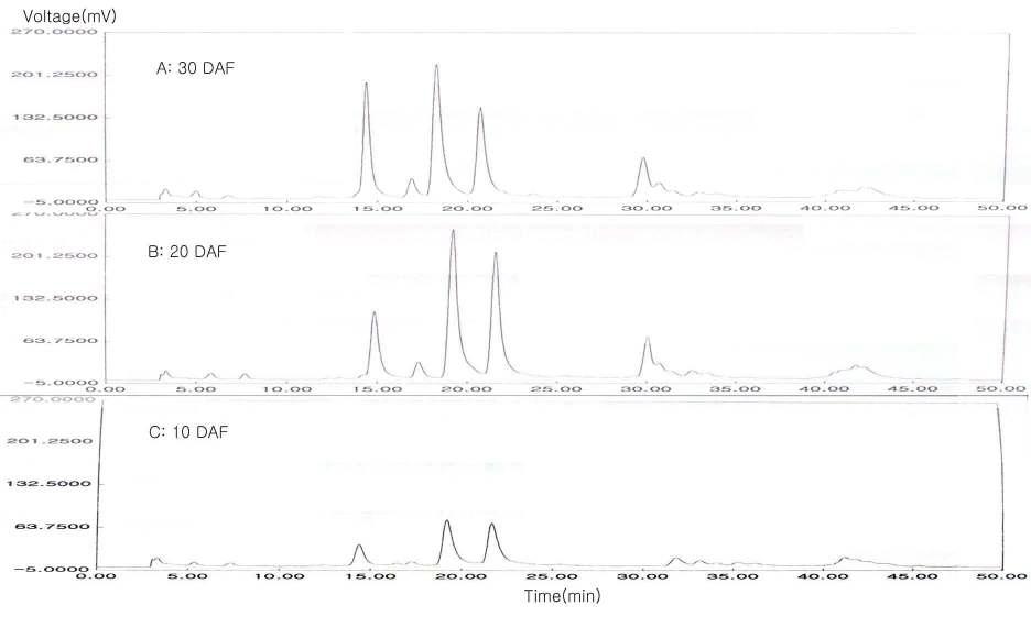 HPLC chromatogram patterns detected at 300㎚ of phenolic compounds in Eusan safflower seeds at different ripening stage