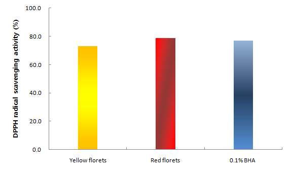 DPPH radical scavenging activity in yellow and red of Carthamus tinctorius L.