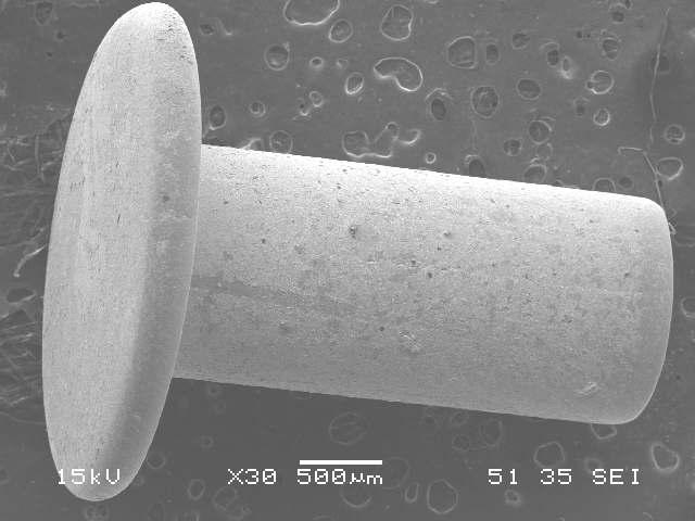 SEM of silver coating for pin