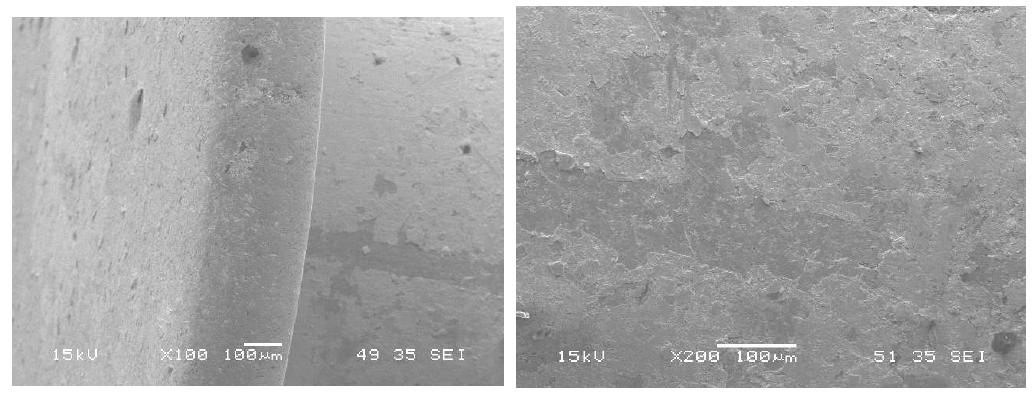 SEM for silver coating on surface