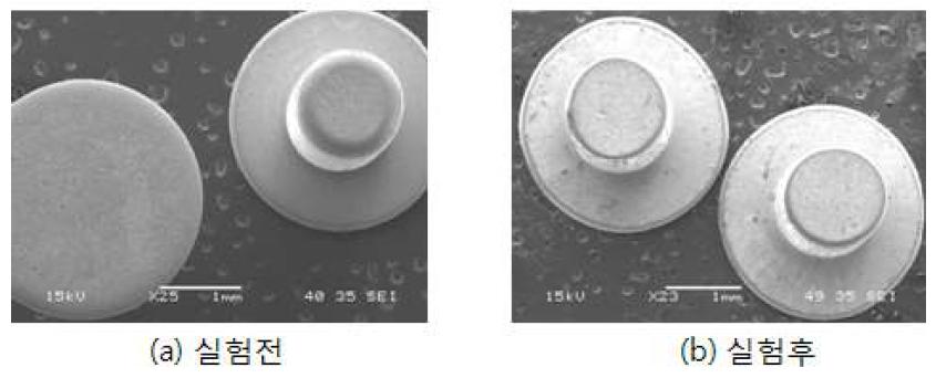 실험전후 발열체의 SEM미시적 관찰