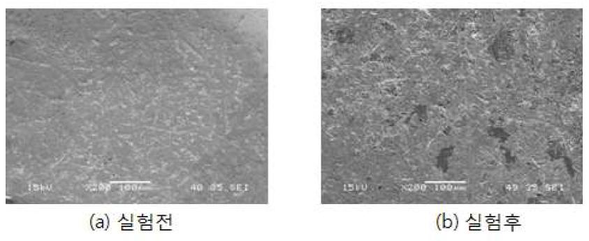 AC250 3A 실험전후 발열체의 SEM미시적 관찰
