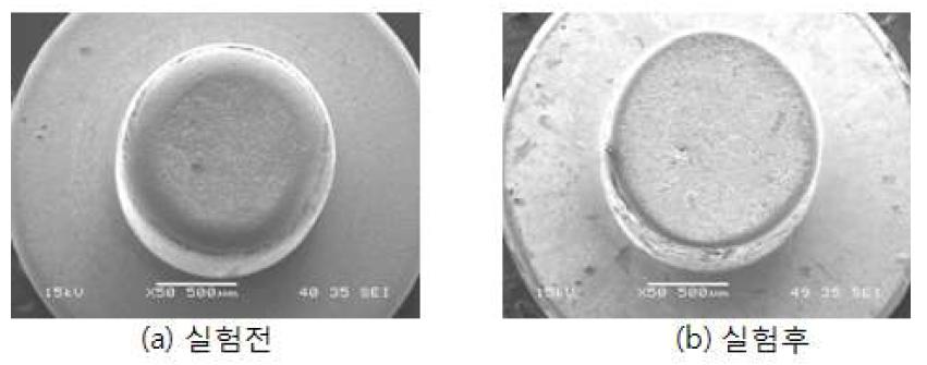 실험전후 발열체의 SEM미시적 관찰